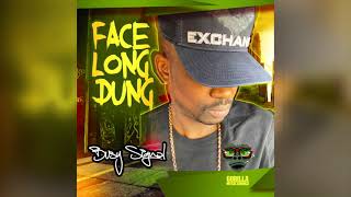 Busy Signal - Face Long Dung [Audio]