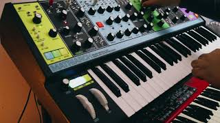 Moog Matriarch Morphing ARP