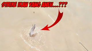 Astaga!! Baru Aku Alami Dapat Ikan Seperti Ini, Mancing Di Rumpon  @DJRAMBA Channel PETUALANG