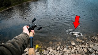 How to Catch BIG SPRINGTIME BASS Flipping Grass in Ponds!!