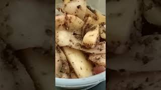 Salak recipe / Snacks recipe #salak #shortviral