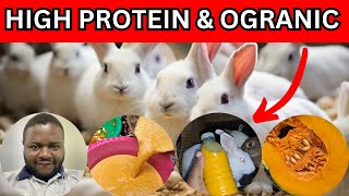 RABBIT SUPPLEMENTS Learn How to make a natural growth booster and high protein supplement for rabbit