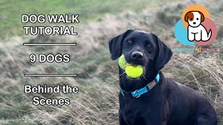 Dog Walk Tutorial | Behind the scenes of our DOG WALK | 9 Dogs | #dogs #dogpark #dogwalk