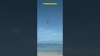 PENAMPAKAN CAPUNG RAKSASA DI PANTAI MELASTI | GUSDE MADE #automobile #pantaibalilestari #bali