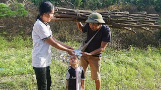 The difficult life of Mạnh and his disabled father - sell firewood for a living