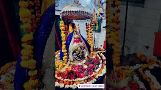 vijaynath dham #viral #india #trending #youtubeshorts #youtube #youtuber #mahadev #video #subscribe