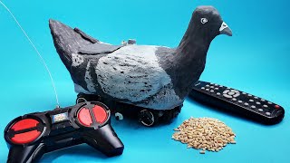 How to create an EPIC RADIO-CONTROLLED PIGEON?!