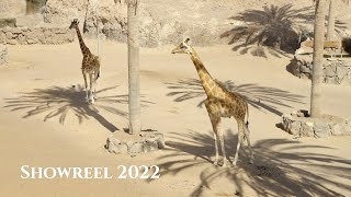 Travel Showreel 2022 | Philippines | Portugal | Spain