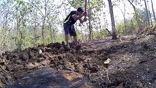 vlog buka ladang untuk menanam jagung