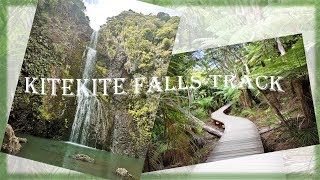 Kitekite Falls Track 4K (Auckland, New Zealand)