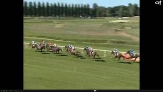 Timi Roli - Royan 3-Y-O Flat Race (Winner moved to Willie Mullins) [19/08/15]