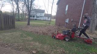 Leaf Cleanup Vlog #1