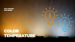 Choosing the Right Color Temperature | Bulb Series