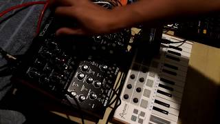 Moog Mother-32 Multiple Voices