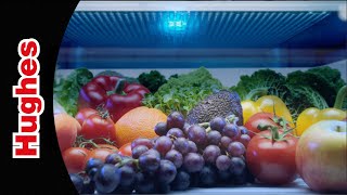 Get the Most Out of Your Food with Beko HarvestFresh