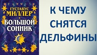 К чему снятся дельфины. Сонник Миллера. Толкование снов.