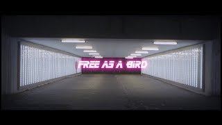 RAiK - Free As A Bird (prod. by Daniel Bess & RAiK)