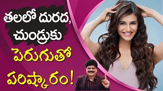 తలలో దురద, చుండ్రుకు పెరుగుతో పరిష్కారం! Cure Dandruff, Head itching, low weight, Acne With Curd.