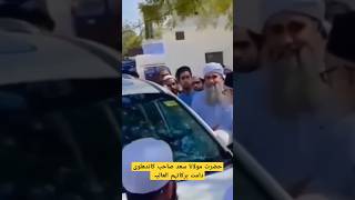 حضرت مولانا سعد صاحب کاندھلوی دامت برکاتہم العالیہ