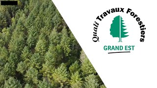 Quali Travaux Forestiers Grand Est