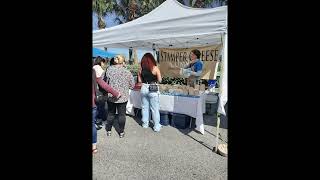 CAGAN CROSSINGS FARMERS MARKET 🧑‍🌾 Clermont, Florida.