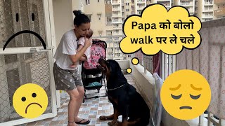 Rottweiler throwing tantrums for a walk | How to control aggressive rottweiler dog ??