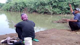 Alhamdulillah Mancing Di Sungai Ini Masih Dapat Ikan Yang Seperti Ini