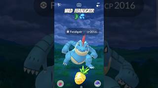 Wild High CP Feraligatr in Pokemon Go! 🐊💦 #shorts #pokemongo #rare (👍 & Subscribe 4 more shorts!)