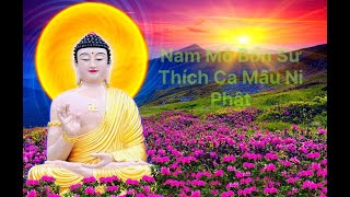 Nhạc Thiền Phật Giáo Nghe Cực Hay Nhẹ Nhàng Thanh An Lạc Thanh Tịnh.