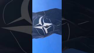 The Future of NATO: An Alliance in Transition? #geopolitics #shorts #shortsvideo