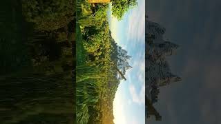 Minecraft shader/part 6 #shorts