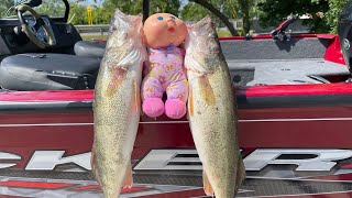 Topwater Largemouth & Casting for Walleye! (Lake Erie Fishing) (Catch Clean and Cook)