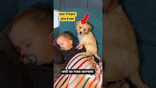 Dog puppy #cute barking #viralshorts chumma chumma baby smile new puppy Humankind #Shorts