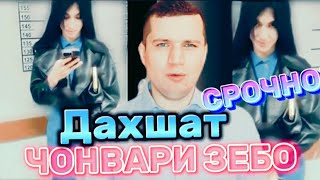 #хабарnews 😱Дахшат ин😱 Нармодаро😱 бубинед ачаб😱 чонвари Зебо😱🗣🗣Шарманда😱 😱Ин чи ахмакист😱