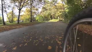 Relaxing Mountainbiking in Nuremberg