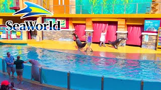 Sea Lion and Otter Spotlight Full Show | SeaWorld Orlando Florida 2023