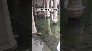 Mumbai ka jumma masjid crawford market ❤️ #trending #shorts #viral #islamic #video #mumbai #masjid