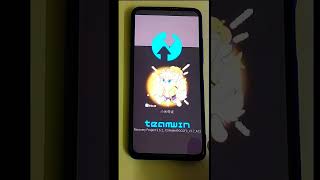 Update twrp!!!! and install Magisk