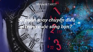 CHỌN 1 TỤ BÀI: SỐ PHẬN XOAY CHUYỂN ĐIỀU GÌ TRONG CUỘC SỐNG CỦA BẠN?