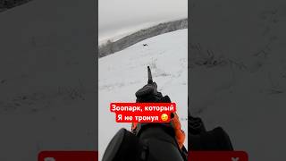 ЗверУшки-везунчики👍 На охоте есть разные причины не стрелять👌 #hunting  #охота