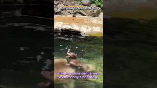 🐒Mother Monkey is showering with her Baby😍 #youtube #babyanimal #monkey #babymonkey #shorts