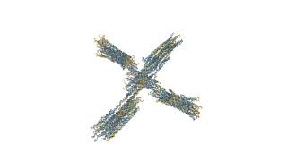 Relaxation of a DNA origami switch (top view)