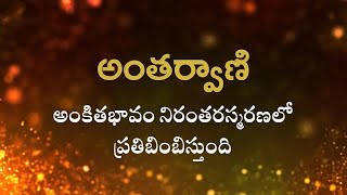 అంతర్వాణి | అంకితభావం నిరంతరస్మరణలో ప్రతిబింబిస్తుంది | Heartfulness Telugu | 12-11-2024