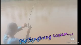 Sakit Tak Berdarah saat mancing nila babon liar @lamatakmancing6937