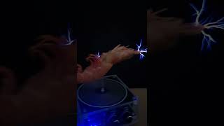 Tesla coil ⚡️ VS shrimp 🦐