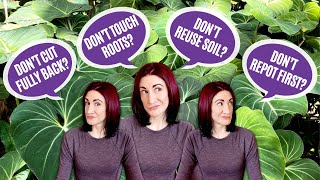 Breaking My Own Plant Care Rules: Find Out Why!