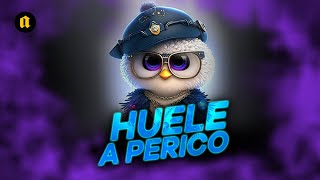 NUEVA GUARACHA 2023 - HUELE PERICO - DJ ANGEL MAITAN . (ALETEO GUARACHA ZAPATEO )