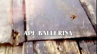 Ape ballerina Hd video per bambini