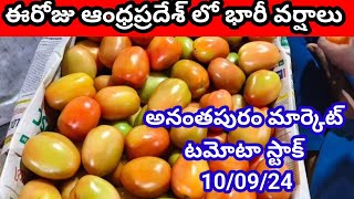 10 September 2024||today Tomato stock in Ananthapuram market || Anantapur market tamatar stock today