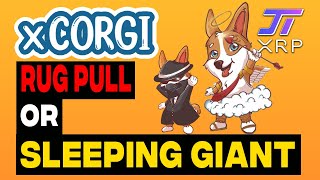 XCorgi Rug Pull or Sleeping Giant?